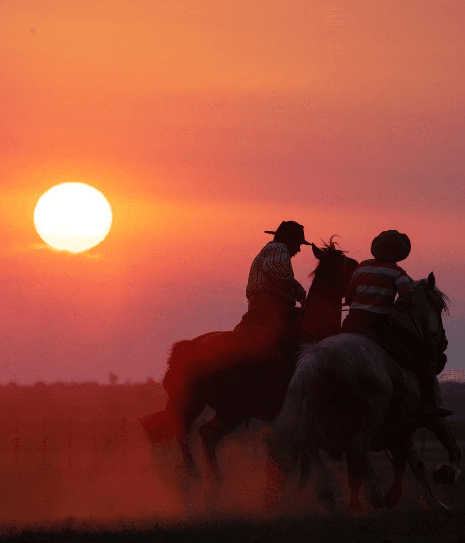 Dois cavaleiros da GAP conduzindo Cavalos Crioulos ao entardecer